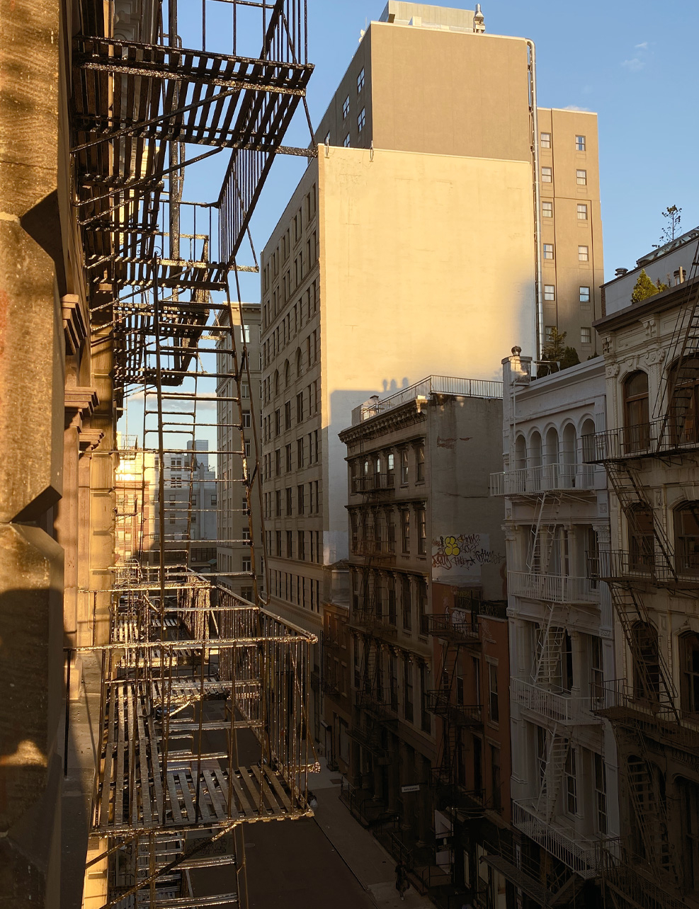 Project Cover Project Cover