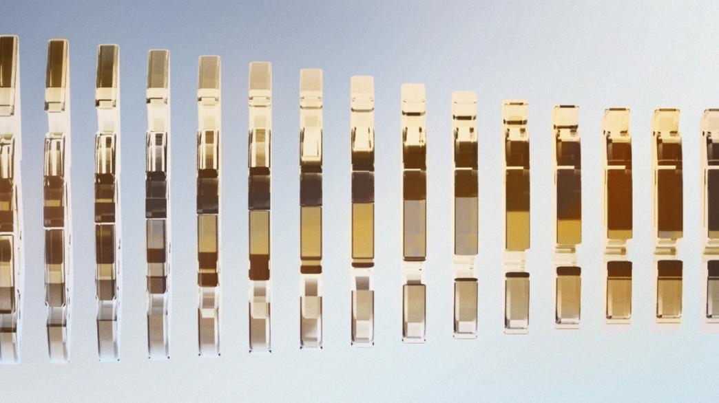 Disney Evolution Image